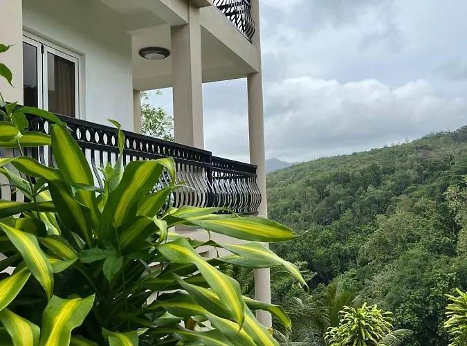 South Hill Apartman